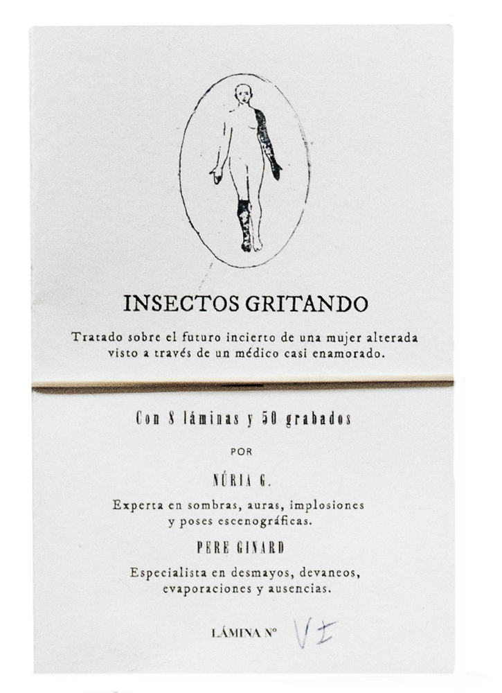 cover-insectos2